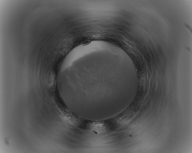 X0000091350651200708311517
