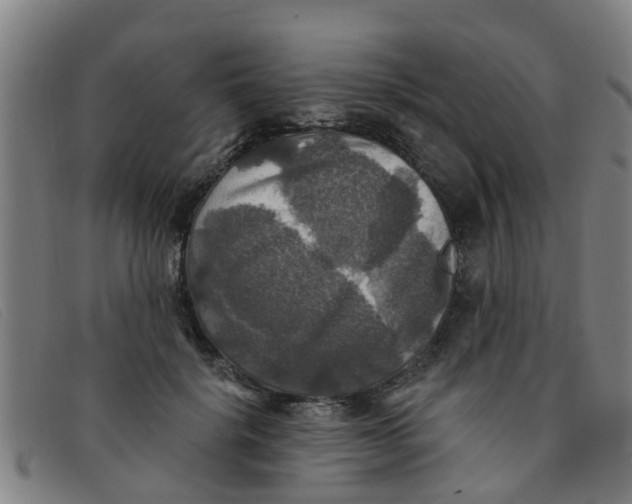 X0000091350652200708311517