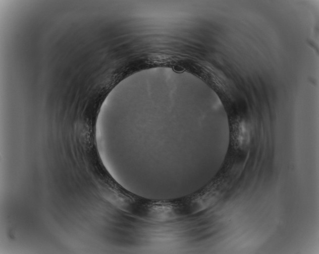 X0000091350653200708311517