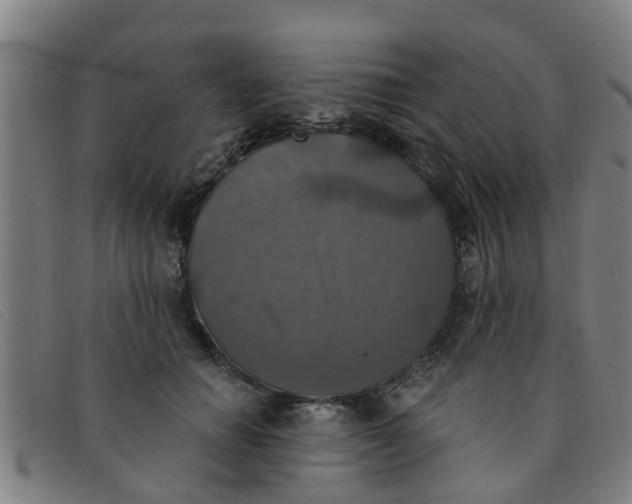 X0000091350654200708311517