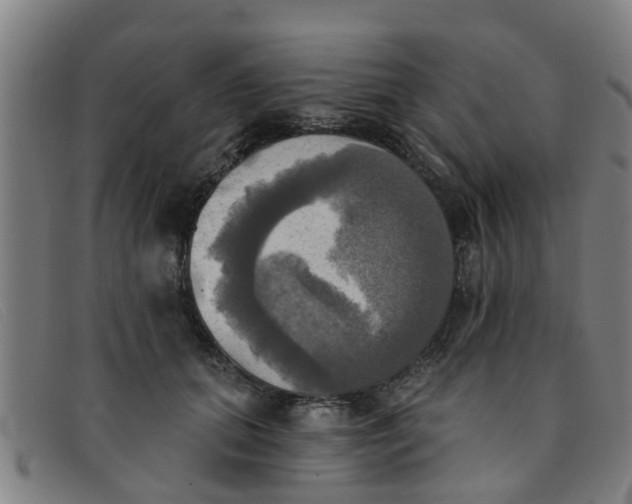 X0000091350655200708311517