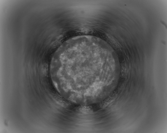 X0000091350656200708311517