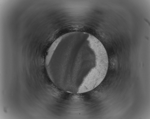 X0000091350657200708311517
