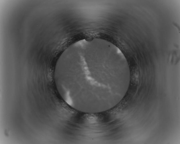 X0000091350658200708311517