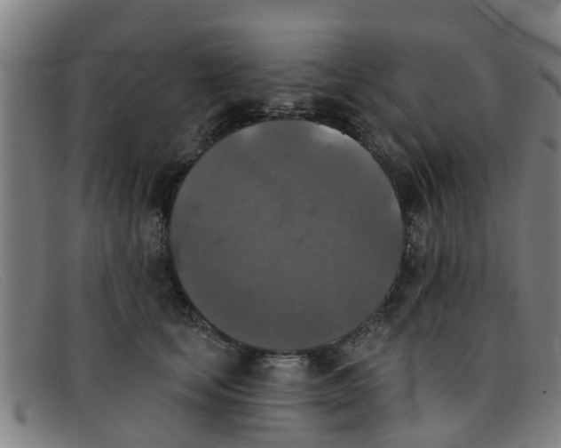 X0000091350659200708311517