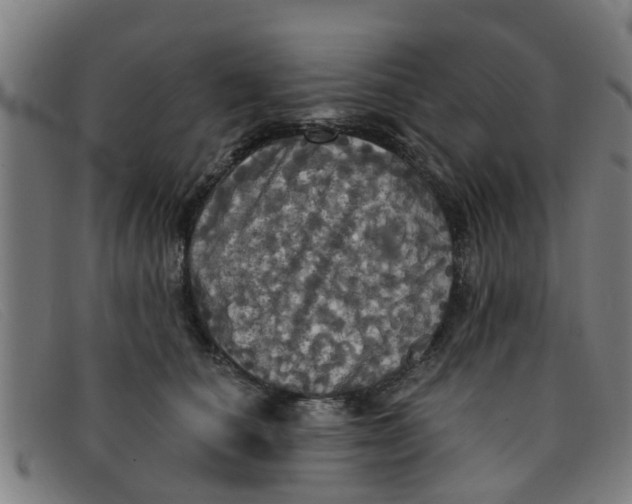 X0000091350660200708311517