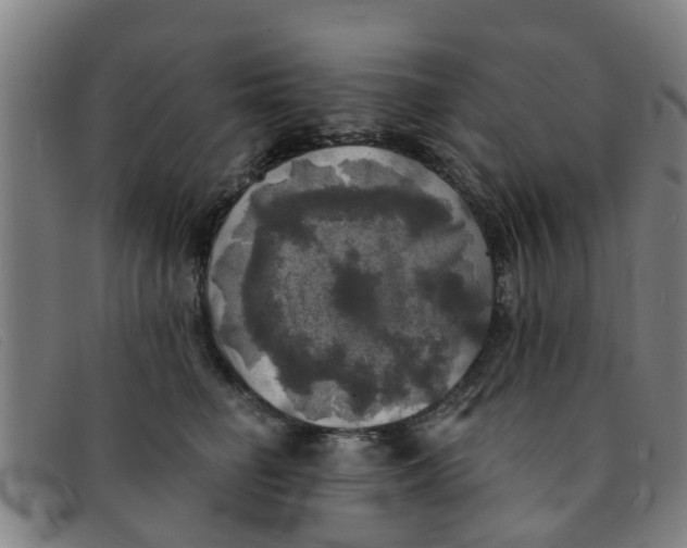 X0000091350662200708311517