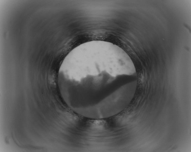 X0000091350663200708311517