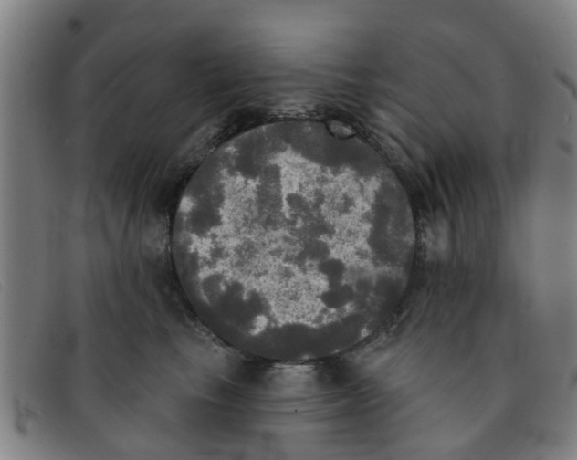 X0000091350665200708311517