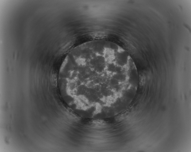 X0000091350666200708311517