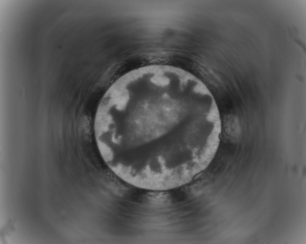 X0000091350667200708311517