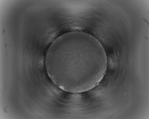 X0000091350668200708311517