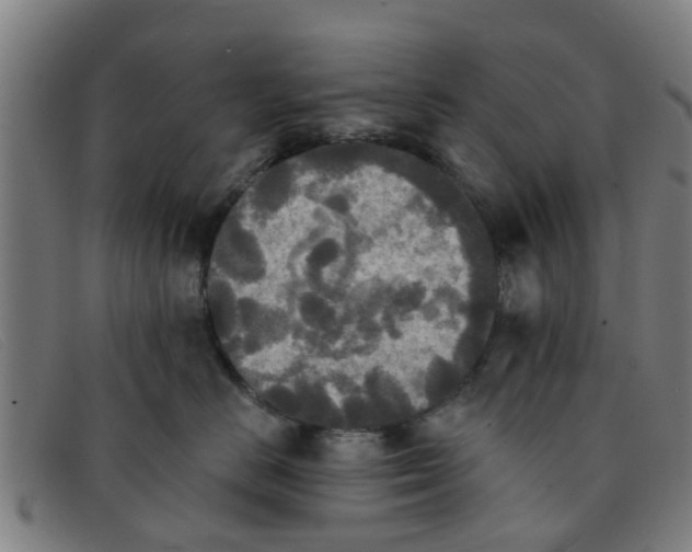 X0000091350670200708311517