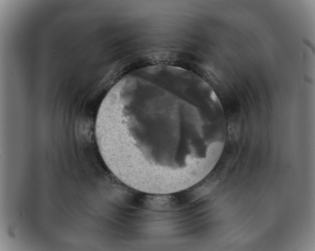 X0000091350671200708311517