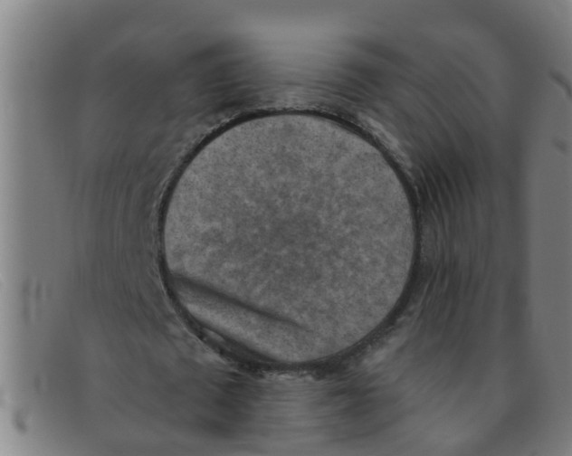 X0000091350673200708311516