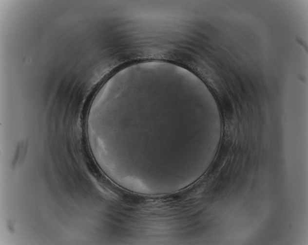 X0000091350674200708311516