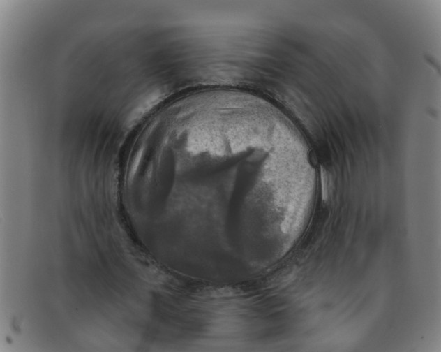 X0000091350675200708311516