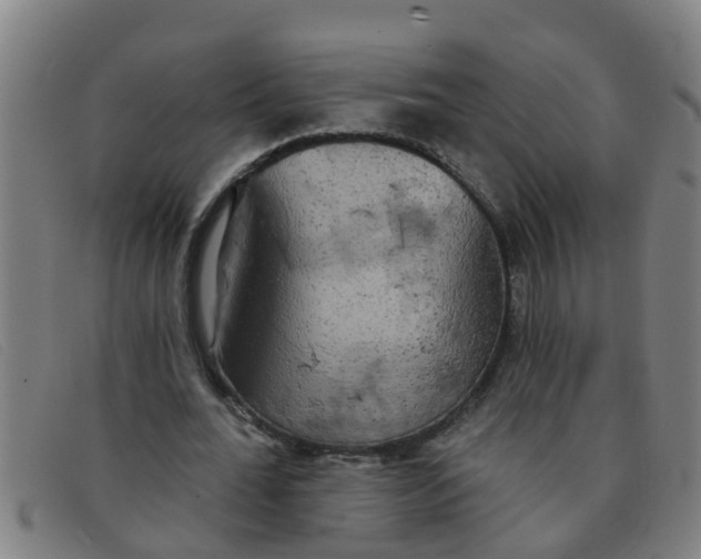 X0000091350676200708311516