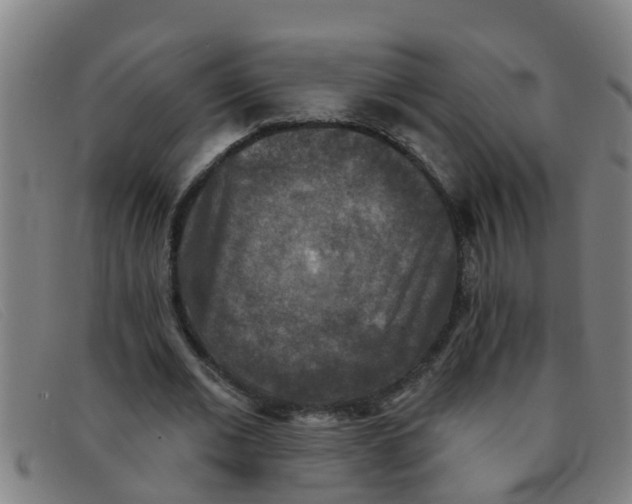X0000091350677200708311516