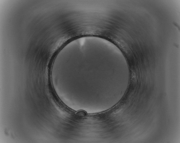 X0000091350678200708311516
