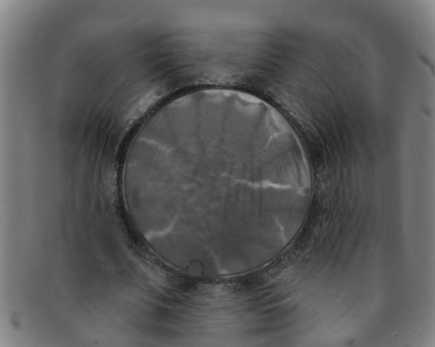 X0000091350679200708311516