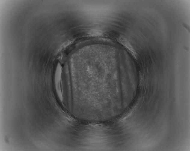 X0000091350681200708311516