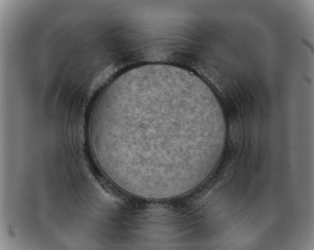 X0000091350682200708311516