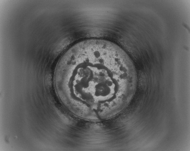 X0000091350683200708311516
