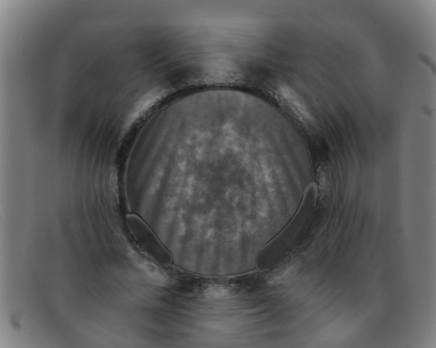 X0000091350684200708311516