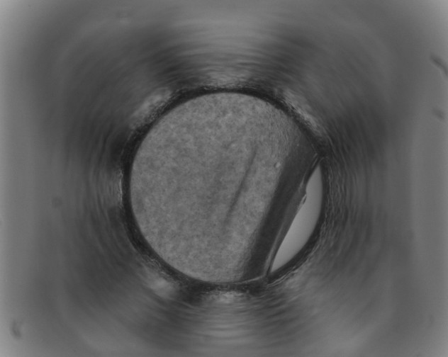 X0000091350685200708311516