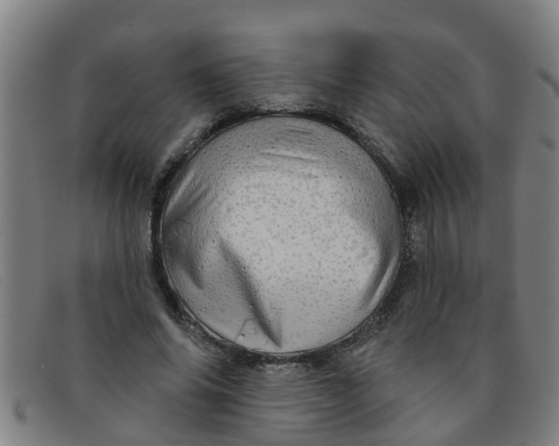 X0000091350686200708311516