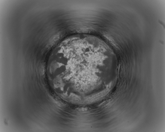X0000091350687200708311516