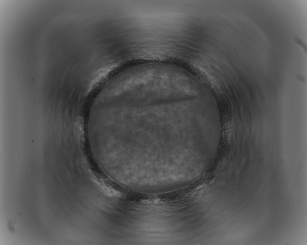 X0000091350688200708311516