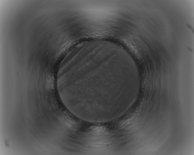 X0000091350689200708311516