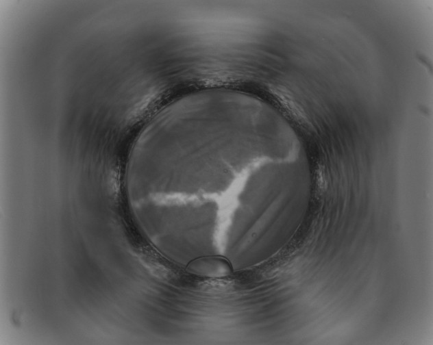 X0000091350691200708311516