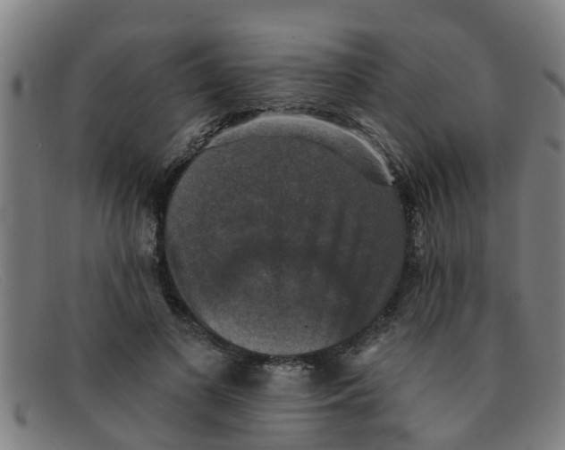 X0000091350693200708311516
