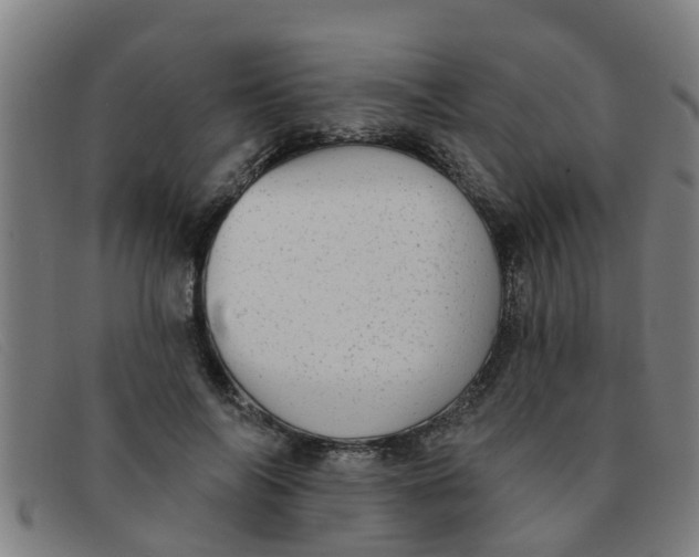 X0000091350694200708311516