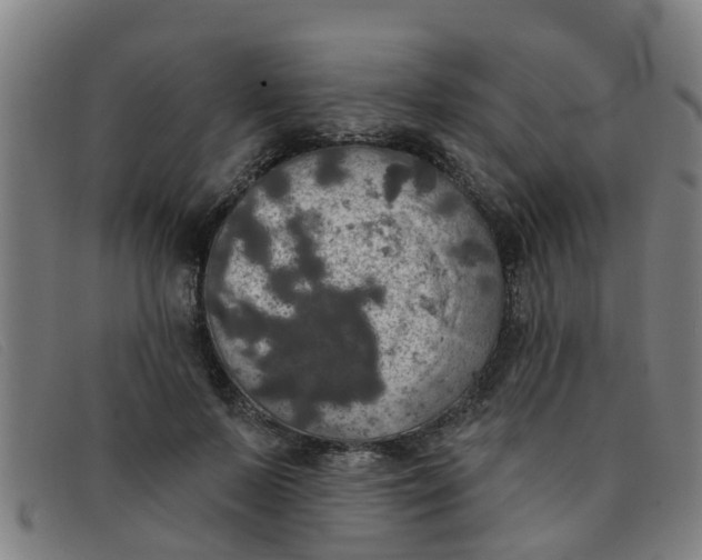 X0000091350695200708311516