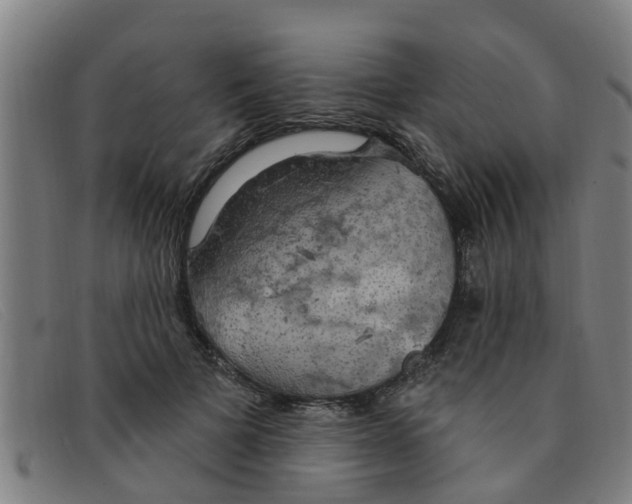 X0000091350697200708311516