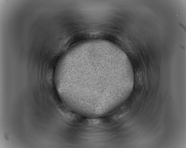 X0000091350698200708311516