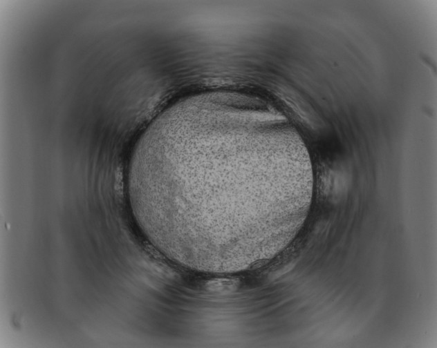 X0000091350700200708311516