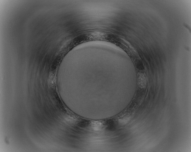 X0000091350701200708311516