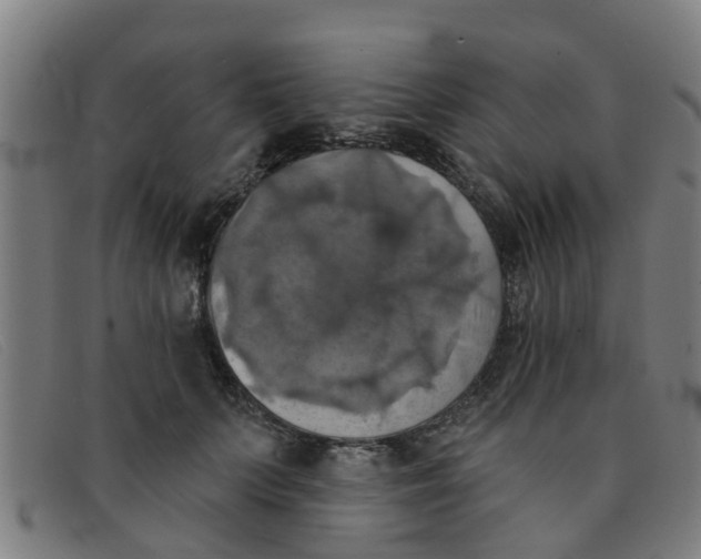 X0000091350703200708311516
