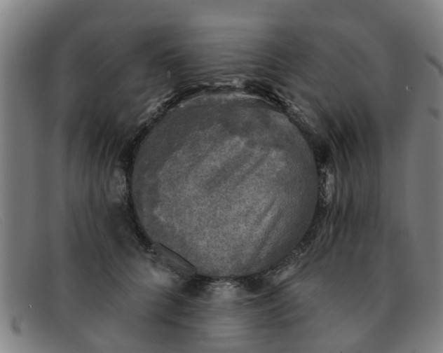 X0000091350704200708311516