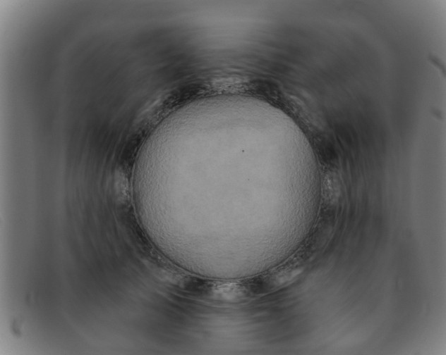 X0000091350705200708311516