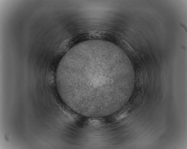 X0000091350706200708311516