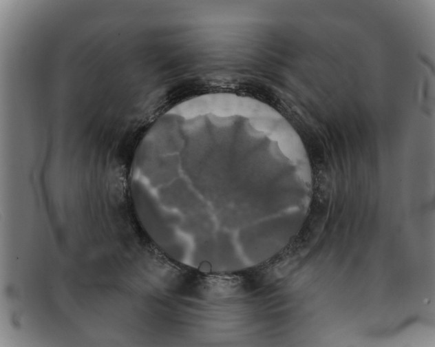 X0000091350707200708311516