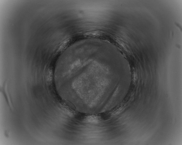X0000091350708200708311516