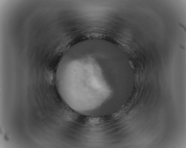 X0000091350709200708311516