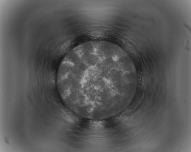 X0000091350710200708311516